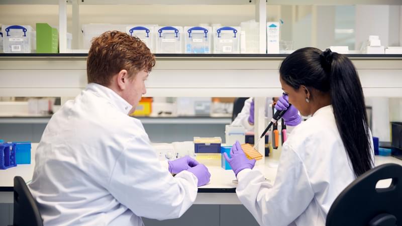 Two scientists in lab coats sitting at a lab bench and working together to micropipette samples.