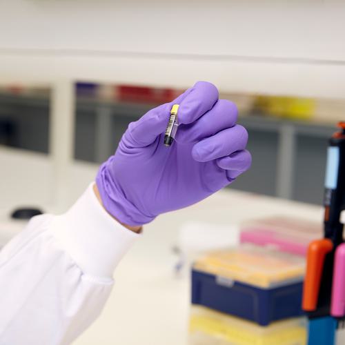 Zoomed in view of scientist’s gloved hand holding a sample in a microtube.